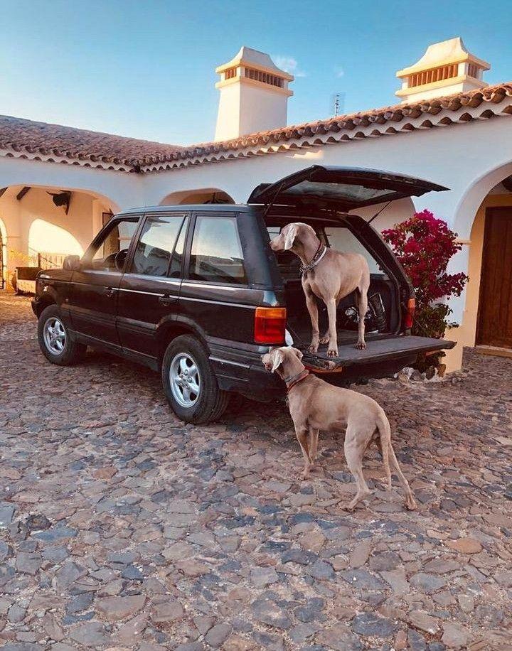 Land Rover Range Rover P38 - Пегас