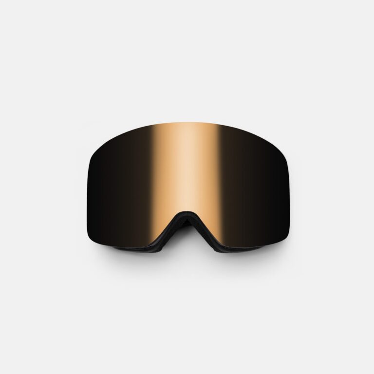 Горнолыжная маска WHITELAB Team One Bronze