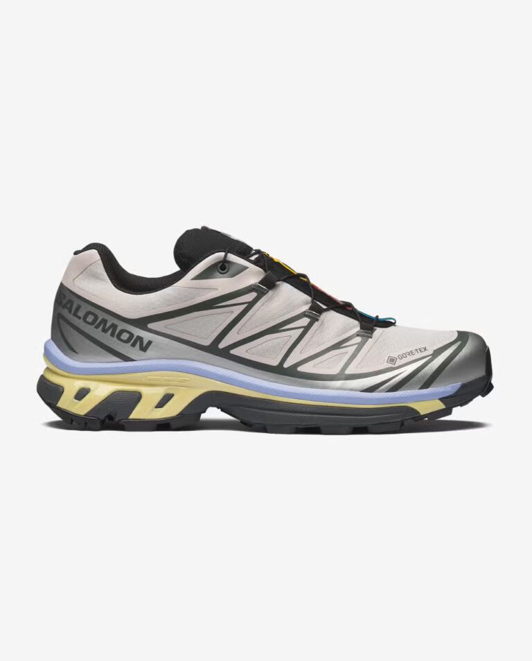 Кроссовки Salomon XT-6 GORE-TEX Silver Cloud / Urban Chic / Shadow Green